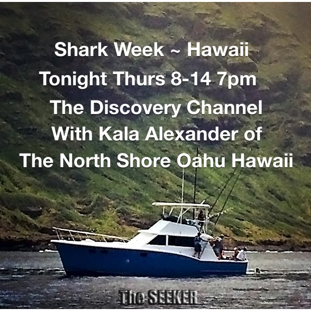 Shark Week filmed on The Seeker off the North Shore of Oahu, Hawaii