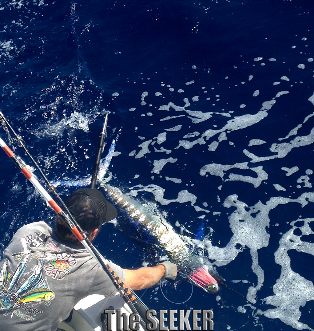 Seeker 2-7-15 Striped Marlin 3 release chupu fishing charter Oahu Hawaii